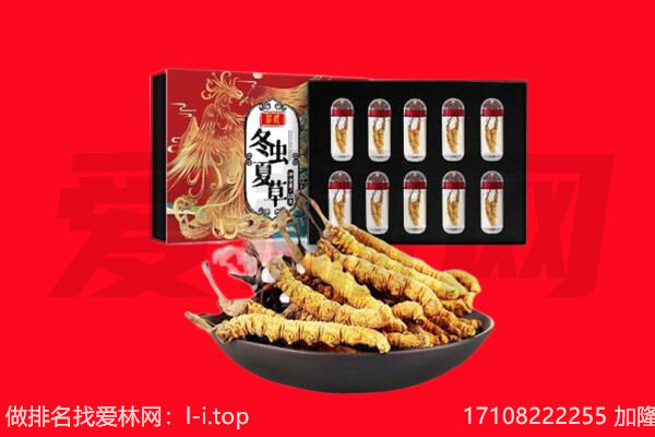 潍坊市寒亭回收虫草.jpg